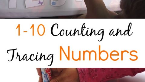 1-10 Counting and Tracing Numbers printable