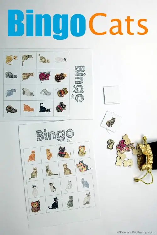 Cat Bingo Set