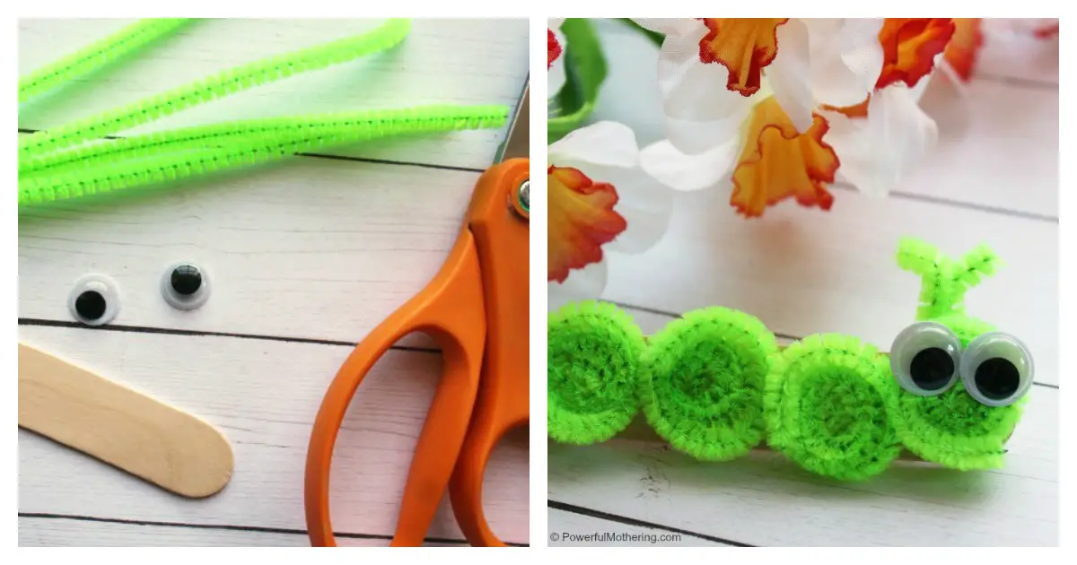 Pipe Cleaner Inchworm Craft