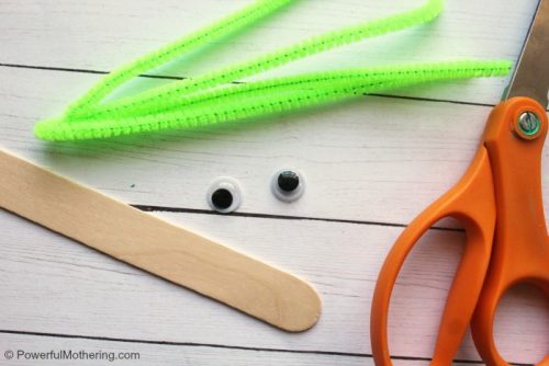 Pipe Cleaner Inchworm Craft