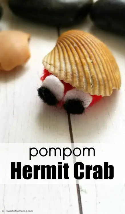 hermit crab template