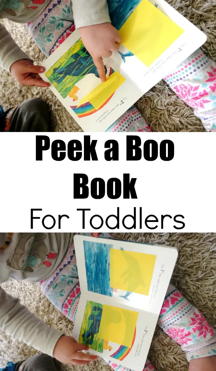 Peek a Boo Book For toddlers