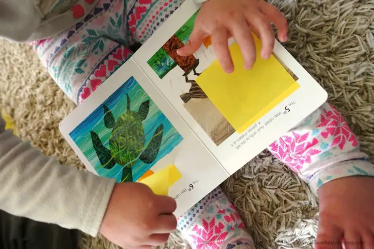 Peek a Boo Book For toddlers