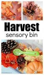 DIY Harvest Sensory Bin