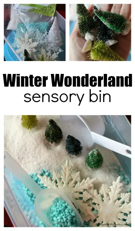 Winter Wonderland Sensory Activity Bin – Playful Little Minds