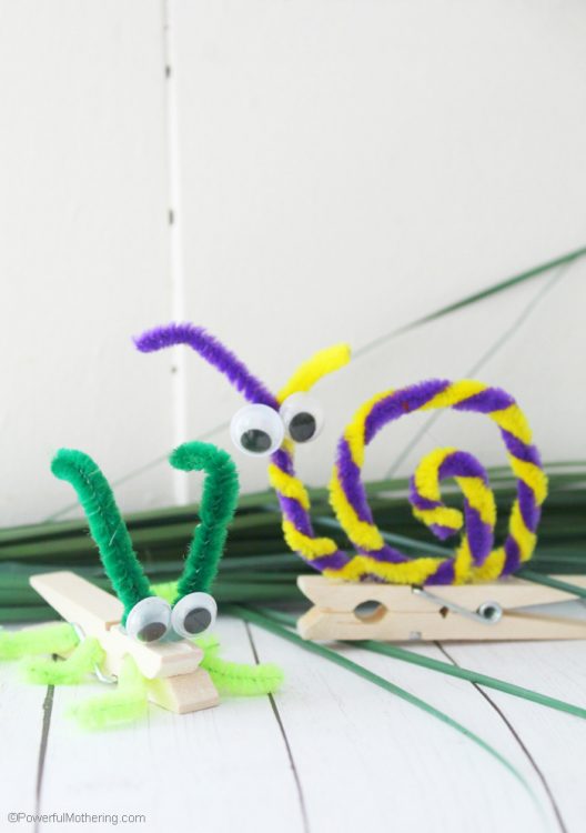 DIY Pipe Cleaner Insects Craft