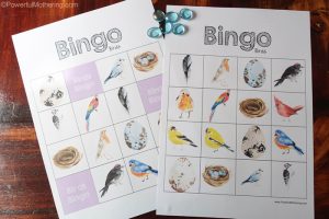 Bird Theme Bingo Set