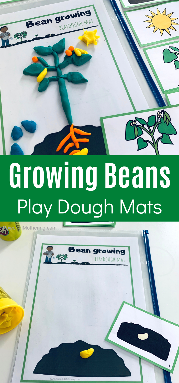 Plant Needs Play Dough Mat