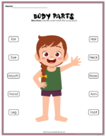 Parts Of The Body Activity Pack (Free Printable) - Powerful Mothering