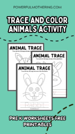 Trace and Color Animals Activity