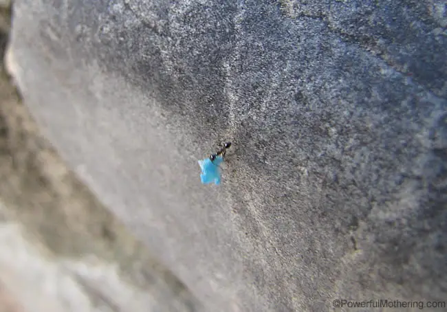 the-ant-sneaking-off-with-some-Taste-Safe-Cloud-Dough-1