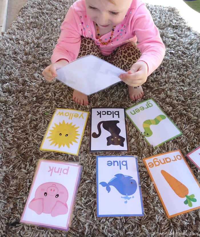color sorting cards for toddlers