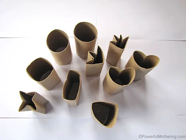 assorted shapes in toilet rolls