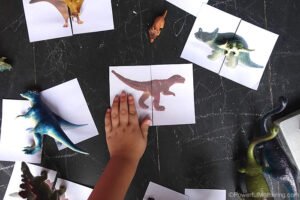 dinosaur card matching busy bag