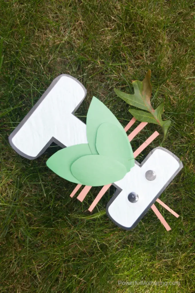 I is for insect