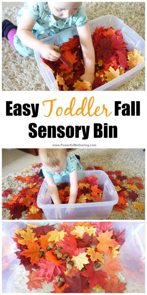 Easy toddler fall sensory bin idea with leaves and acorns