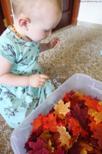 Toddler exploring colourful fall leaves in a sensory b