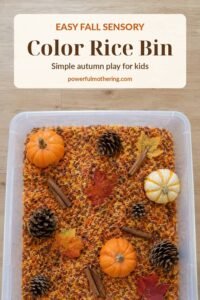 Fall sensory color rice bin