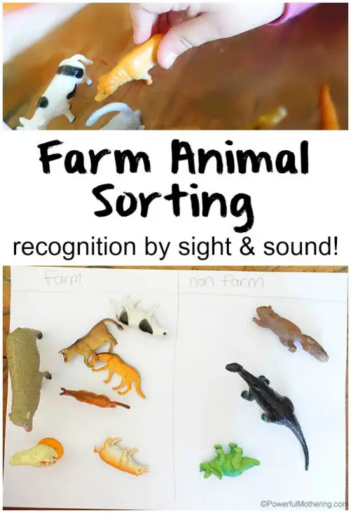 farm animal sorting sigh and sound