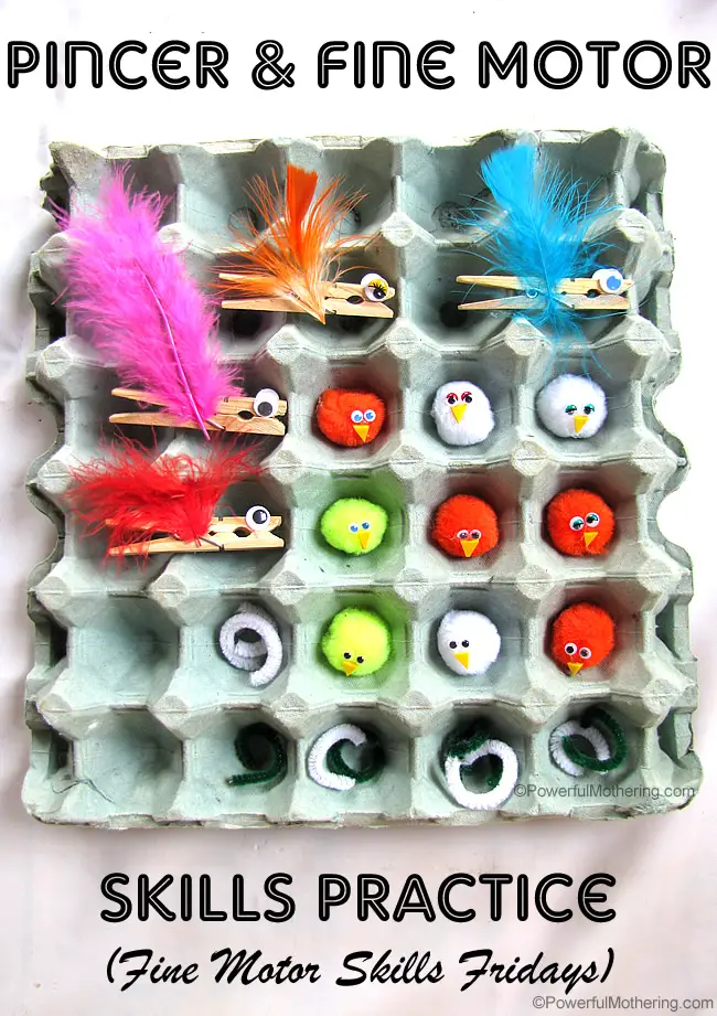 Pincer and fine motor skills practise