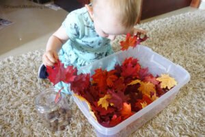 Toddler searching for acorns hidden in a leaf sensory bin