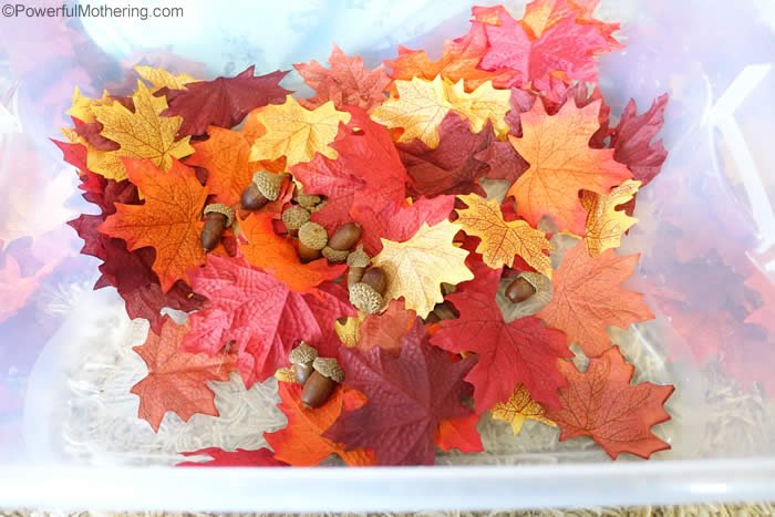 Toddler digging through leaves to find acorns during fall sensory play